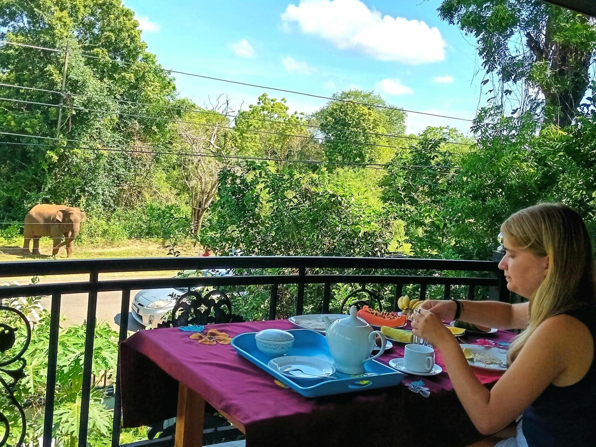 Peacock Villa Resort Удавалаве Стая снимка